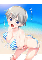 1girl :d ass beach bikini blue_eyes blush borrowed_character bouncing_breasts breast_hold breasts butt_crack cleavage crossed_arms day fang fisheye front-tie_bikini_top front-tie_top grey_hair large_breasts laughing leaning_forward looking_at_viewer open_mouth original outdoors outside_border short_hair side-tie_bikini_bottom skin_fang smile solo striped_bikini striped_clothes swimsuit tears tomomimi_shimon uzaki-chan_wa_asobitai! uzaki_hana