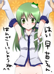  1girl \o/ armpits arms_up bad_id bad_pixiv_id bottomless detached_sleeves female_focus gradient_background green_eyes green_hair hair_ornament kochiya_sanae long_hair male_hand marimo_danshaku matching_hair/eyes msan navel no_panties outstretched_arms solo text_focus touhou translated white_background 