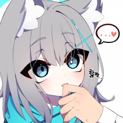  1girl animal_ears artist_request blue_archive grey_hair halo heterochromia korean_text medium_hair scarf sensei_(blue_archive) shiroko_(blue_archive) simple_background translation_request white_background wolf_ears 