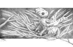  2017 branch commentary creature creature_focus dragon english_commentary fantasy graphite_(medium) greyscale highres looking_back monochrome no_humans original sumo0172 traditional_media 