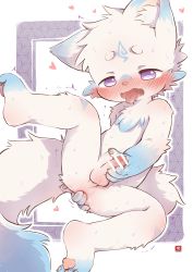  1boy absurdres anal_fingering animal_ears anus bar_censor blush body_fur censored commission cum cum_in_ass fingering fox_ears fox_tail furry furry_male heart highres male_focus motion_lines nude open_mouth original pawpads penis purple_eyes shota solo sweat tail testicles tongue tongue_out yuanyuan  rating:Explicit score:155 user:Dweenie