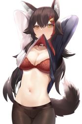 1girl animal_ears black_hair bra breasts choker clothes_in_mouth clothes_lift hololive long_hair looking_at_viewer mouth_hold mujinbensin navel ookami_mio ookami_mio_(casual) panties panties_under_pantyhose pantyhose red_bra shirt_in_mouth shirt_lift simple_background solo tail underwear virtual_youtuber wolf_ears wolf_tail rating:Questionable score:73 user:danbooru
