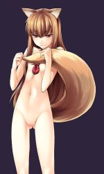00s 1girl animal_ears blush brown_hair covering_breasts covering_privates eyelashes flat_chest gluteal_fold half-closed_eyes highres holo long_hair looking_at_viewer nude out-of-frame_censoring pussy puyo_(puyotopia) red_eyes simple_background solo spice_and_wolf standing tail topia uncensored wolf_ears wolf_tail rating:Explicit score:33 user:danbooru
