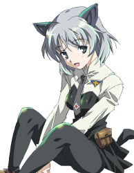  00s 1girl animal_ears black_pantyhose md5_mismatch necktie pantyhose resolution_mismatch sanya_v._litvyak short_hair silver_hair skirt solo source_smaller strike_witches wankoro_mochi world_witches_series  rating:Questionable score:5 user:danbooru