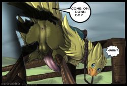 anus ass bent_over bestiality bird chocobo final_fantasy furry looking_back narse_(artist) penis testicles yaoi you_gonna_get_raped rating:Explicit score:32 user:bm54321