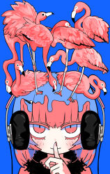  1girl animal animal_on_head bird bird_on_head black_headphones black_scarf blue_background blush_stickers check_copyright closed_mouth colored_eyelashes commentary_request copyright_request fang fang_out finger_to_mouth flamingo fur_scarf highres limited_palette looking_at_viewer medium_hair nail_polish on_head original pink_eyes pink_hair pink_shirt portrait red_nails scarf shirt simple_background skin_fang smile solo straight-on terada_tera 