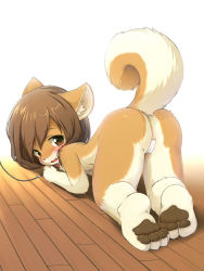  1girl :3 all_fours animal_ears animal_hands ass barefoot blue_eyes blush brown_hair censored dog dog_ears dog_tail feet furry furry_female kagerofu leash loli looking_at_viewer looking_back maebari nude open_mouth original parted_lips pawpads pussy short_hair sidelocks soles solo tail tape toes top-down_bottom-up  rating:Explicit score:311 user:masian
