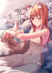  1girl ;) animal_ears bath blush breasts brown_hair completely_nude highres holo kawakami_rokkaku long_hair looking_at_viewer navel nipples nude one_eye_closed onsen partially_submerged petite photoshop_(medium) red_eyes revision small_breasts smile solo spice_and_wolf tail translation_request washing water wet wolf_ears wolf_girl wolf_tail 