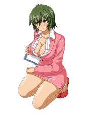  00s 1girl artist_request breasts female_focus green_hair highres ikkitousen kyocho_chuukou large_breasts solo tagme  rating:Sensitive score:20 user:Garlyle