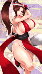 1girl breasts fatal_fury huge_breasts long_hair ponytail shiranui_mai solo