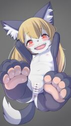  1girl absurdres akuma_gaoru animal_ear_fluff animal_ears animal_nose anus aoimua armpits arms_up bar_censor barefoot blonde_hair blush censored cleft_of_venus completely_nude feet female_focus flat_chest full_body furry furry_female futaba_channel grey_background highres huge_filesize loli long_hair looking_at_viewer lying navel nipples nude on_back open_mouth pawpads pussy red_eyes simple_background slit_pupils solo stomach teeth wolf_ears wolf_girl 