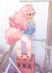 1girl against_wall alley animal_ear_fluff animal_ears ass blue_dress blush bow closed_mouth clothes_lift crate dress dress_lift embarrassed female_focus fox_ears fox_girl fox_tail from_behind full_body green_eyes hair_bobbles hair_ornament highres industrial_pipe kneepits loli long_hair long_sleeves looking_at_viewer looking_back nomeoil outdoors panties panty_pull paw_print paw_print_pattern pink_hair print_socks red_footwear shiny_skin shoes socks solo standing table tail underwear wall white_panties white_socks rating:Questionable score:142 user:cpee