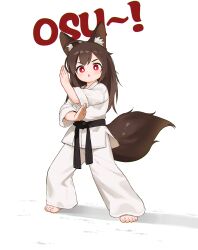  1girl :o absurdres animal_ear_fluff animal_ears arms_up barefoot belt black_belt brown_hair chinese_commentary commentary_request dot_nose dougi fighting_stance full_body highres kuma-bound long_hair original pants red_eyes simple_background solo standing tail toes white_background white_pants 