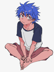  1boy aged_down blue_hair blue_shirt brown_eyes butterfly_sitting closed_mouth commentary_request facial_scar full_body grey_background highres male_focus red_shorts scar scar_on_cheek scar_on_ear scar_on_face shirt short_hair shorts simple_background sitting smiiiiic solo thick_eyebrows toriko toriko_(series) two-tone_shirt white_shirt 