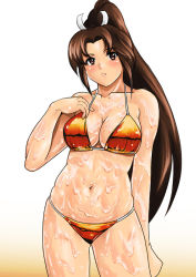  1girl bikini breasts brown_eyes brown_hair cleavage female_focus funky_harem large_breasts long_hair matching_hair/eyes midriff navel ponytail red_bikini shiranui_mai shu-z skindentation snk solo standing swimsuit tagme the_king_of_fighters  rating:Sensitive score:11 user:lorddragon