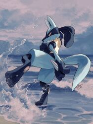  closed_mouth cloud commentary_request creatures_(company) full_body game_freak gen_4_pokemon highres kuchiba_(jret2454) lucario nintendo outdoors pokemon pokemon_(creature) sand shore sky solo standing standing_on_one_leg water yellow_fur 