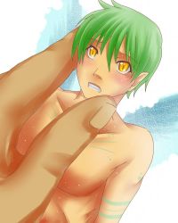  artist_request blush facial_mark fairy fairy_boy fairy_wings green_hair mini_person miniboy pointy_ears short_hair size_difference sweat tattoo wings yellow_eyes  rating:Questionable score:8 user:InnocentSuccubus