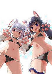  2girls animal_ear_fluff animal_ears animal_hands backlighting bell bikini black_bikini black_collar black_gloves black_hair breasts cat_ears cat_girl cat_tail claw_pose collar commentary_request cowboy_shot elbow_gloves fang from_below gloves grey_hair hair_ornament hair_ribbon jingle_bell kakuno looking_at_viewer momiji_(uraniwa_no_tochi-gami-sama) multiple_girls navel neck_bell open_mouth paw_gloves purple_eyes rabbit_ears rabbit_girl red_collar red_eyes red_ribbon ribbon shiro_(uraniwa_no_tochi-gami-sama) side-tie_bikini_bottom small_breasts smile sweat swimsuit tail uraniwa_no_tochi-gami-sama white_gloves x_hair_ornament 