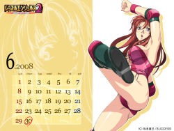 1girl armpits blue_eyes boots breasts brown_hair calendar corey_sniper corset elbow_pads highres homare_(fool&#039;s_art) kicking large_breasts long_hair open_mouth sideboob solo wallpaper wrestle_angels wrestle_angels_survivor wrestle_angels_survivor_2 wristband rating:Sensitive score:19 user:danbooru