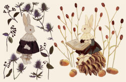  acorn animal animal_focus black_dress bloomers book clothed_animal collared_dress dress frilled_sleeves frills highres holding holding_book lace lace-trimmed_dress lace_trim leaf long_sleeves no_humans open_book original oversized_object pinecone plant puffy_long_sleeves puffy_sleeves rabbit simple_background sitting tono_(rt0no) underwear white_background white_bloomers 