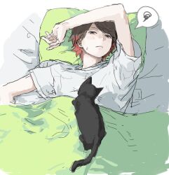  1boy animal animal_on_stomach arm_up black_eyes blanket brown_hair cat closed_mouth colored_tips commentary_request jiz_(pffbq) kiyo_(youtuber) looking_at_viewer lying male_focus multicolored_hair on_back on_bed pillow real_life red_hair scribble shirt short_hair short_sleeves solo speech_bubble t-shirt under_covers upper_body white_shirt 