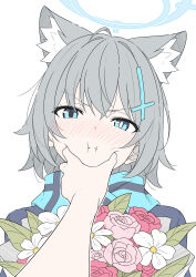 1girl 1other animal_ear_fluff animal_ears blue_archive blue_coat blue_eyes blue_halo blue_scarf blush bouquet closed_mouth coat commentary cross cross_hair_ornament extra_ears flower grey_hair hair_ornament halo highres holding holding_bouquet inverted_cross looking_at_viewer masabodo meme mismatched_pupils nose_blush pink_flower pink_rose pov pov_cheek_grabbing_(meme) pov_hands red_flower red_rose rose scarf shiroko_(blue_archive) shiroko_(young)_(blue_archive) short_hair simple_background upper_body v-shaped_eyebrows white_background wolf_ears wolf_girl 