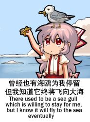  1girl animal animal_on_head bilingual bird bird_on_head blue_sky bow chibi closed_mouth cloud commentary day eating english_commentary english_text engrish_commentary engrish_text food french_fries fujiwara_no_mokou hair_between_eyes hair_bow holding holding_food jokanhiyou mixed-language_text no_nose on_head outdoors pants pink_hair puffy_short_sleeves puffy_sleeves ranguage red_bow red_eyes red_pants seagull shirt short_sleeves sky suspenders touhou two-tone_bow white_bow white_shirt 