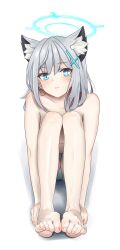  1girl absurdres animal_ear_fluff animal_ears bare_legs barefoot blue_archive blue_eyes blue_panties closed_mouth collarbone ear_piercing feet female_focus grey_hair hair_ornament halo highres knees_up lips looking_at_viewer medium_hair panties piercing shiroko_(blue_archive) shirow_(mha03133) simple_background sitting solo thighs toenails toes topless underwear white_background x_hair_ornament 