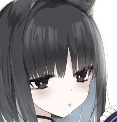  1girl animal_ear_fluff animal_ears black_choker black_eyes black_hair blue_archive bob_cut cat_ears cat_girl choker close-up commentary_request drooling head_tilt imoe_(1017933989) kikyou_(blue_archive) looking_at_viewer parted_bangs short_hair sidelocks simple_background solo tongue tongue_out white_background 