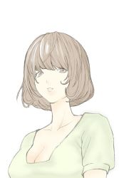 aoki_yuriko bakuman breasts brown_eyes brown_hair cleavage short_hair  rating:Sensitive score:8 user:dragafire