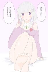  bed emilia_(re:zero) feet highres tagme  rating:Explicit score:4 user:waterspring911