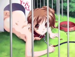 1girl all_fours artist_request ass bowl breasts cage collar doghouse female_focus food grass humiliation leash nature nipples nude outdoors pet_bowl pet_play side_ponytail slave solo zenra rating:Questionable score:149 user:i_am_gundam