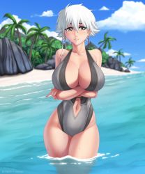  1girl beach bleach breasts highres kotetsu_isane large_breasts ocean swimsuit white_hair  rating:Sensitive score:27 user:jojosstand