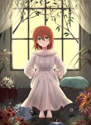  1girl absurdres ahoge axolotl barefoot blush closed_mouth creature delfuze dress flower flower_request green_eyes hatori_chise head_tilt highres indoors long_sleeves looking_at_viewer mahou_tsukai_no_yome medium_hair orange_hair red_flower sitting solo white_dress white_flower window yellow_flower 