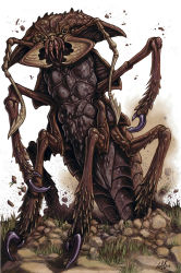  ankheg bug dungeons_&amp;_dragons epic bug mandibles monster no_humans  rating:Sensitive score:14 user:Cowww