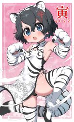  1girl animal_ears chinese_zodiac highres kaban_(kemono_friends) kemono_friends ransusan thighhighs year_of_the_tiger  rating:Sensitive score:34 user:ANSOC