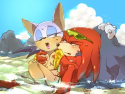  1boy 1girl bat_(animal) bikini blush grabbing_another&#039;s_breast breasts eyeshadow furry gloves goggles grabbing hetero knuckles_the_echidna makeup rock rouge_the_bat sega sonic_(series) swimsuit tagme water wings wink  rating:Questionable score:48 user:Furio