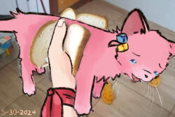  1girl animal animal_focus blue_eyes bocchi_the_rock! bocchidaily bread bread_slice cat commentary cube_hair_ornament dated english_commentary female_pov food gotoh_hitori hair_ornament holding holding_animal ijichi_nijika one_side_up open_mouth photo_background pov pov_hands sandwich 