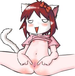  1girl 4chan animal_ears blush cat_ears cat_tail gkg half-closed_eyes loli moot navel nipples open_mouth pink_shirt pussy shirt solo spread_pussy t-shirt tail triangle_mouth  rating:Explicit score:4 user:EseTipo