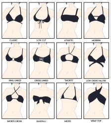  1girl bikini bra breasts chart head_out_of_frame highres pomelomelon sideboob small_breasts sports_bra swimsuit underboob underwear 