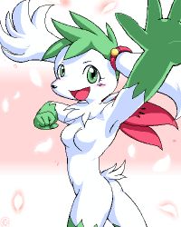 breasts creatures_(company) g-sun game_freak gen_4_pokemon legendary_pokemon lowres mythical_pokemon nintendo pokemon pokemon_(creature) shaymin tagme  rating:Questionable score:8 user:fddss