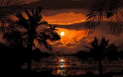 anas_abdin animated bird no_humans ocean palm_tree reflection reflective_water scenery sunset tagme tree video