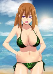  1girl beach bikini blue_theme breasts brown_hair cloud female_focus hands_on_own_hips highres himura_kiseki large_breasts long_hair looking_at_viewer ocean open_mouth original purple_eyes side-tie_bikini_bottom solo standing swimsuit twintails  rating:Sensitive score:27 user:TrapCake