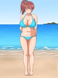  1girl banefan beach bikini breasts cleavage large_breasts long_hair ocean original pink_hair red_eyes solo swimsuit 