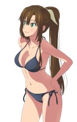  1girl bikini black_bikini bow breasts brown_hair cleavage collarbone commentary_request cowboy_shot from_side green_eyes hair_bow halterneck hands_on_own_hips highres kirasaka_sayaka light_smile long_hair looking_ahead medium_breasts navel ponytail sano_keiichi side-tie_bikini_bottom sidelocks simple_background solo stomach strike_the_blood swimsuit very_long_hair white_background white_bow 
