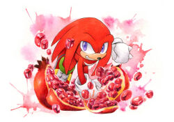  1boy finik food fruit furry furry_male gloves knuckles_the_echidna looking_at_viewer pomegranate purple_eyes shoes solo sonic_(series) white_gloves  rating:General score:1 user:danbooru