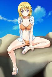  10s 1girl absurdres bikini blush breasts charlotte_dunois female_focus full_body highres infinite_stratos legs nipples outdoors see-through sky smile solo swimsuit tagme thighs  rating:Explicit score:43 user:spotless