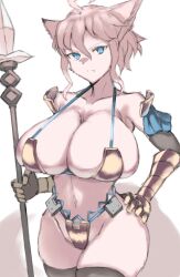  armor bikini_armor blue_eyes breasts dinah_(unicorn_overlord) fiin36772 fox fox_girl furry furry_female gold highres large_breasts polearm revealing_clothes spear unicorn_overlord vanillaware weapon white_hair  rating:Questionable score:24 user:Nuttebuster