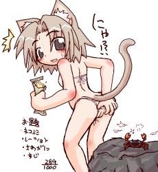 ^^^ animal_ears bikini blush brown_eyes brown_hair cat_ears cat_tail cleft_of_venus crab from_behind ikkyuu loli pussy simple_background source_request swimsuit tail torn_clothes translation_request uncensored rating:Explicit score:16 user:Tom23