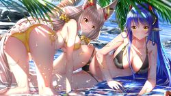 2girls aged_up all_fours android animal_ear_fluff animal_ears ass bikini black_bikini blue_hair blurry blurry_foreground blush breasts cleavage closed_mouth commentary_request covered_erect_nipples day depth_of_field female_focus gluteal_fold grey_hair hair_between_eyes hair_ornament hair_scrunchie headgear highres large_breasts long_hair looking_at_viewer lying multiple_girls navel nia_(blade)_(xenoblade) nia_(xenoblade) nintendo niyah on_side outdoors palm_tree poppi_(xenoblade) poppi_qtpi_(xenoblade) robot_ears scrunchie shallow_water side-tie_bikini_bottom smile spoilers strap_gap sunlight swimsuit swordsouls thigh_gap tree very_long_hair water xenoblade_chronicles_(series) xenoblade_chronicles_2 yellow_bikini yellow_eyes yellow_scrunchie rating:Questionable score:67 user:danbooru